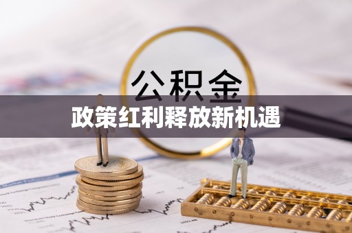 庄河政策红利释放新机遇